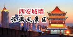 欧洲wwwwwaaaaa中国陕西-西安城墙旅游风景区
