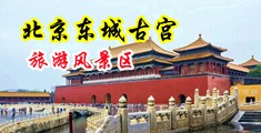艹逼无码中国北京-东城古宫旅游风景区